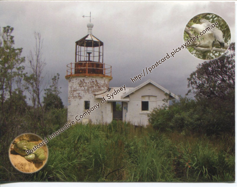Crookhaven Head Lighthouse (+Sea Eagle & Tree Frog)