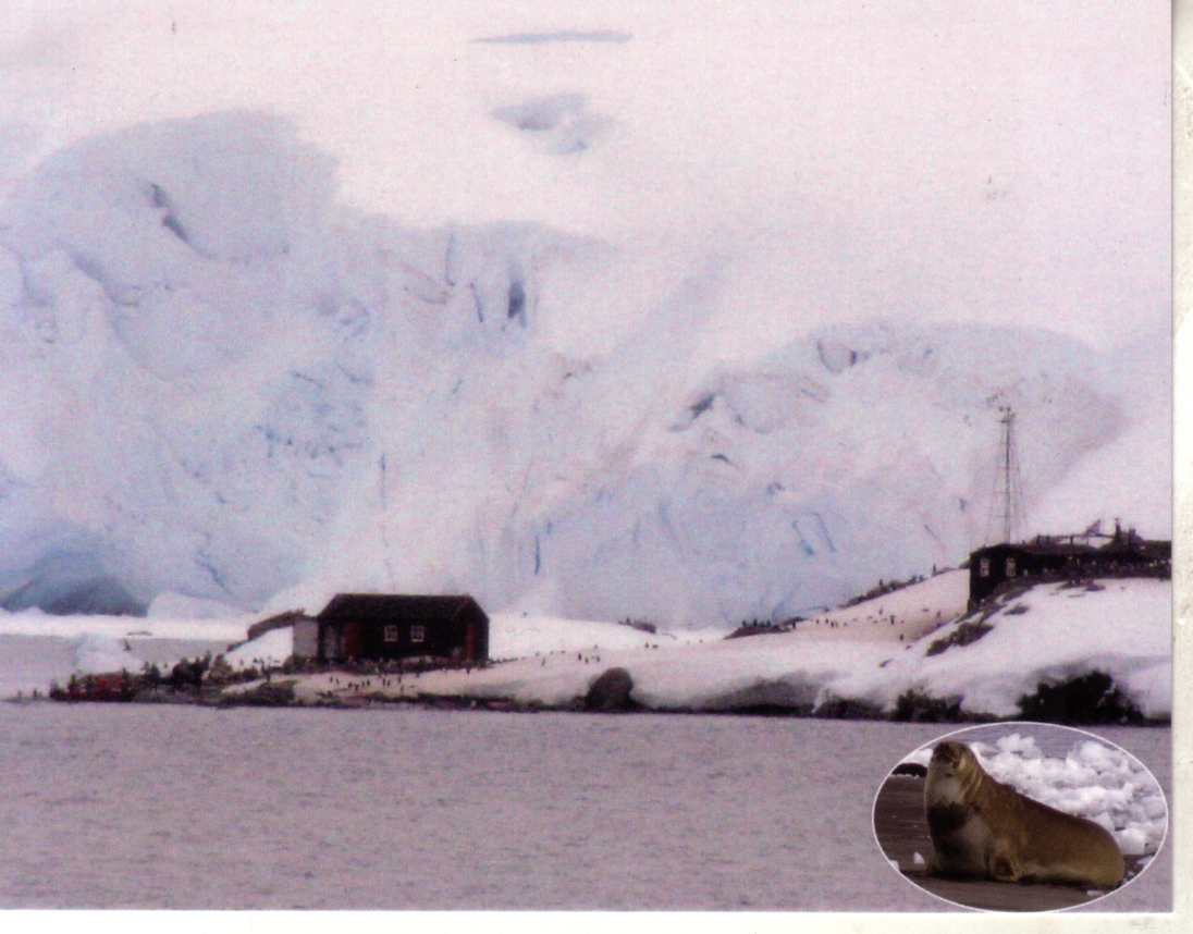 Antarctica - Vernadsky Base (Ukraine)
