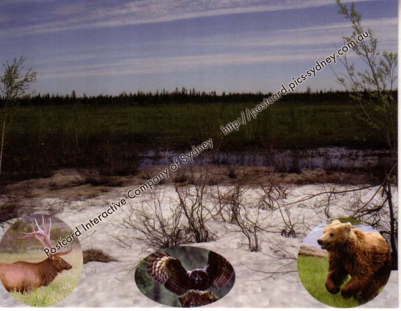 Russia UNESCO - Virgin Komi Forests