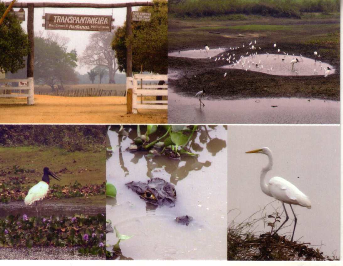 Brazil UNESCO - Pantanal Conservation Area
