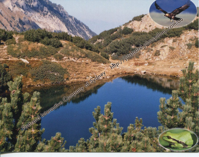 Bulgaria UNESCO - Pirin National Park