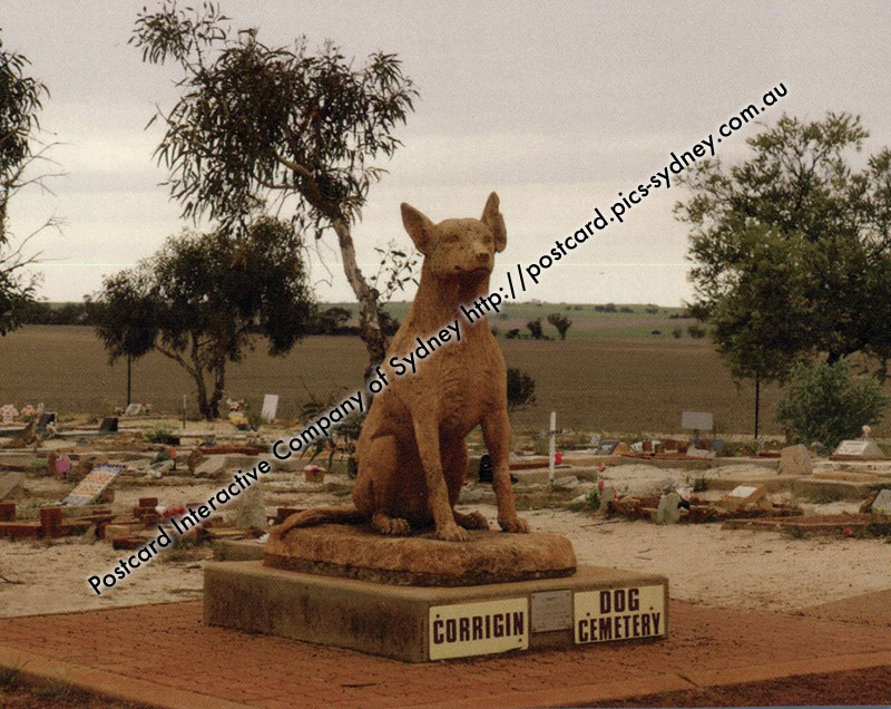 Corrigin Dog Cemetery - Western Australia