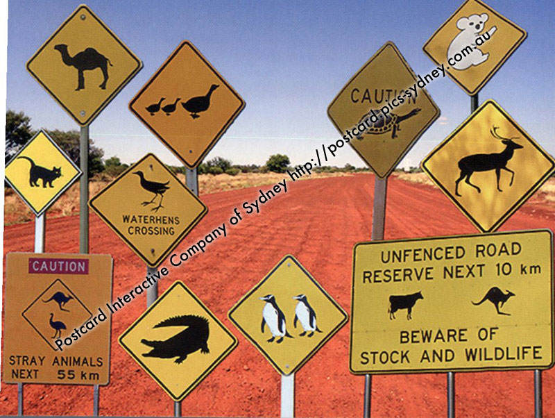 Australian Road Sign - Animals (1)