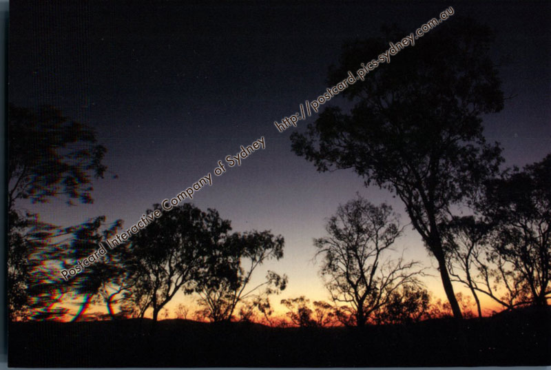 Australian Bush Sunset