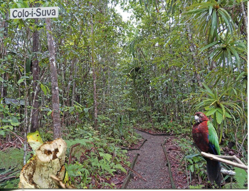 Fiji UNESCO Tentative List - Sovi Basin