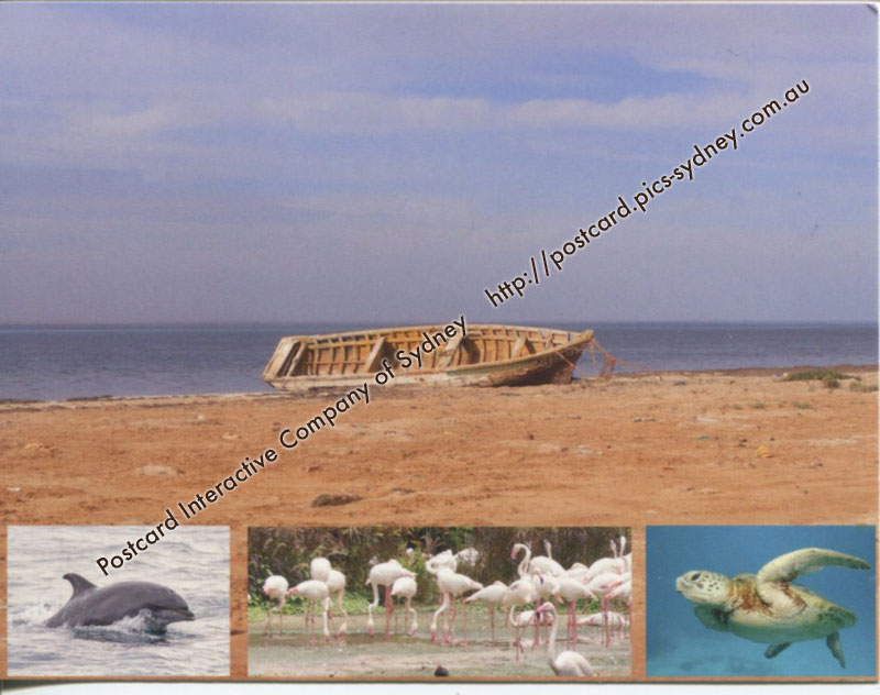 Mauritania UNESCO - Banc D'Arguin National Park