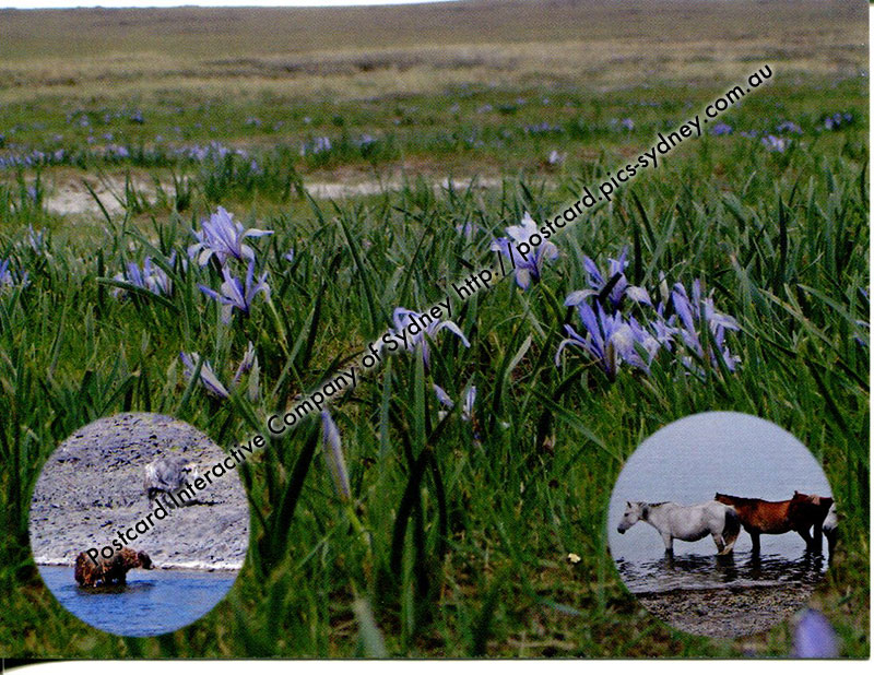 Mongolia / Russia UNESCO - Uvs Nuur Basin