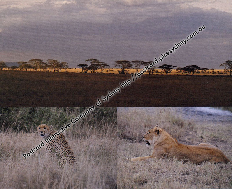 Tanzania UNESCO - Serengeti National Park