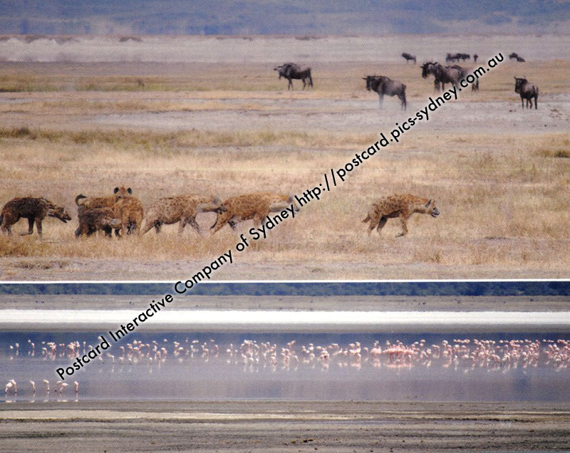 Tanzania UNESCO - Ngorongoro Conservation Area