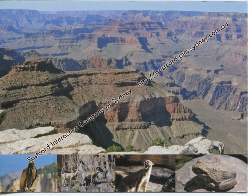 USA UNESCO - Grand Canyon National Park